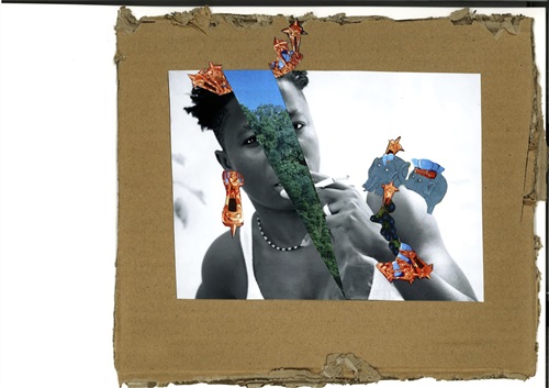 Collage  Robyn Orlin
