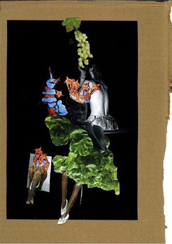 Collage  Robyn Orlin