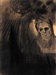 Odilon REDON (1840-1916) Apparition Fusain et de légers rehauts de pastel 51 x 37 cm Signé du monogramme en haut à gauche « od.R »  Provenance :	Probablement Ambroise Vollard, Paris  Bibliographie:	Alec Wildenstein, Odilon Redon, Catalogue Raisonné de l’œuvre peint et dessiné, Volume II, Mythes et Légendes, Wildenstein Institute, Paris 1994, n°1107, p.185 reproduit.  Estimation : 40 000/60.000 €