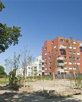 Lateria