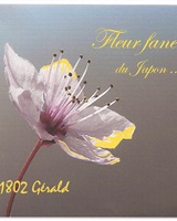 Album Fleur Fanée<br />