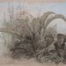 Adrien DAUZATS (1804-1868) - Feuillages exotiques - Aquarelle gouachée sur esquisse au crayon - 29x43cm - Cachet de la vente Dauzats - Prix: 2.500 Euros<br />