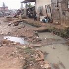 La population en voie de développement... Chronique Camerounaise La population en voie de développement... Chronique Camerounaise