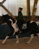 Francesca DOMENICHINI à cheval