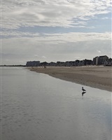 sandrine descamps