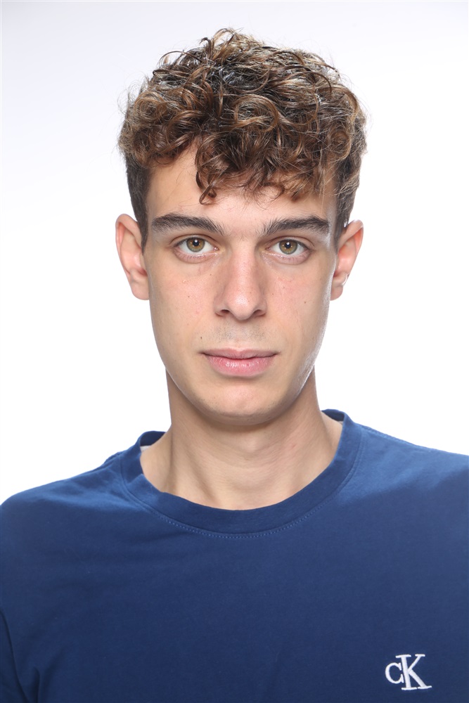 Alexandre Robert Fiche Artiste Artiste interprète la plateforme