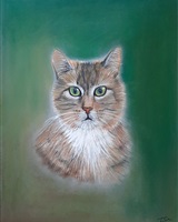 Isa - "Miaou Miaou!" (© Isarielle)