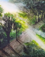 Isa - "Sous-bois ensoleillé" (© Isarielle)