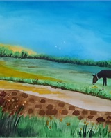 Isa - "Le petit âne dans la prairie" (&copy; Isarielle)