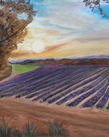 Isa - "Lavender field at sunset" (© Isarielle)