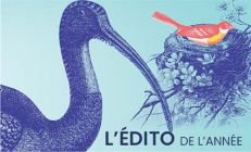 UNE SAISON POUR FAIRE SON NID