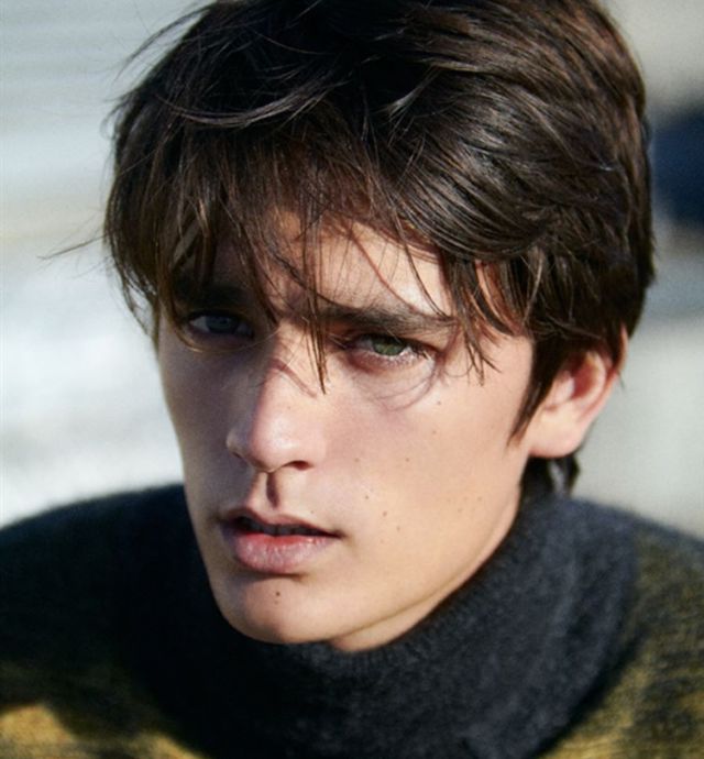 Alain Fabien DELON VMA alain-fabien-delon-vma
